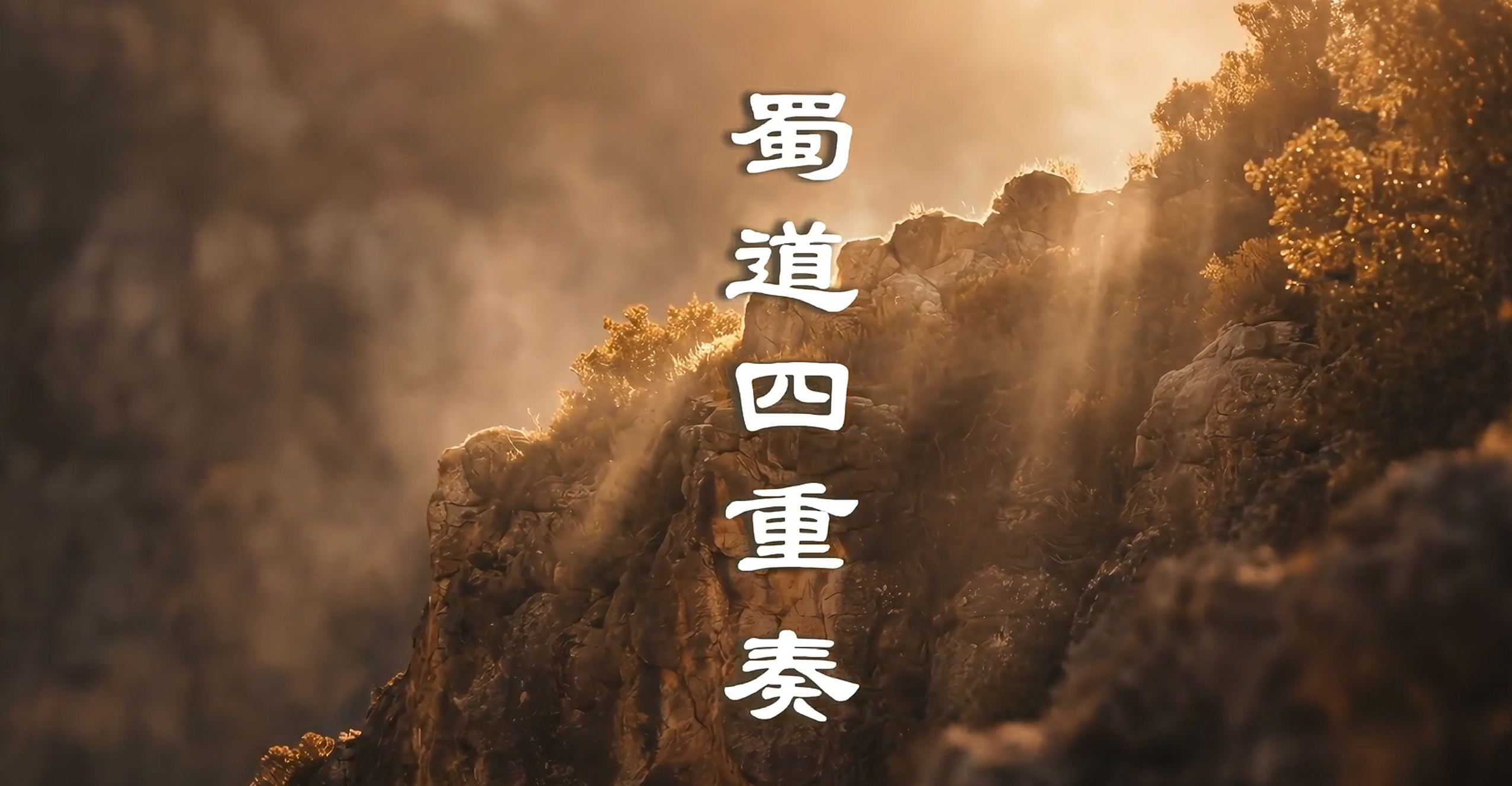 视频