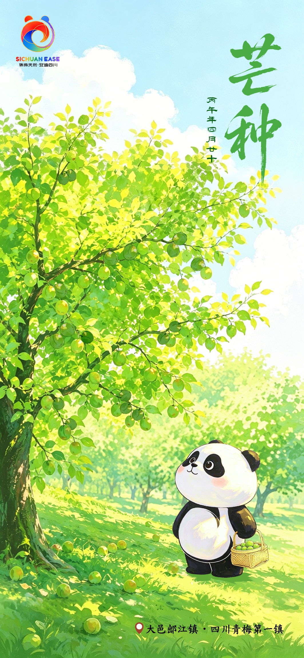 芒种・大邑青梅主题文旅插画设计